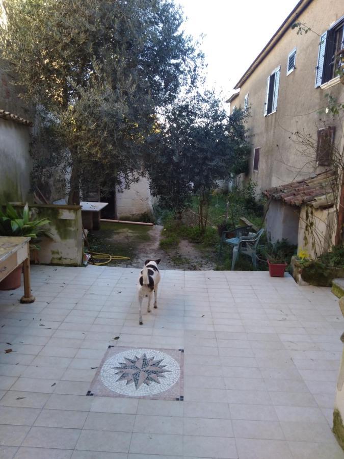 Casa Vacanza Zia Ersilia Rotondi Екстериор снимка