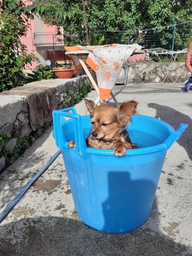 Casa Vacanza Zia Ersilia Rotondi Екстериор снимка