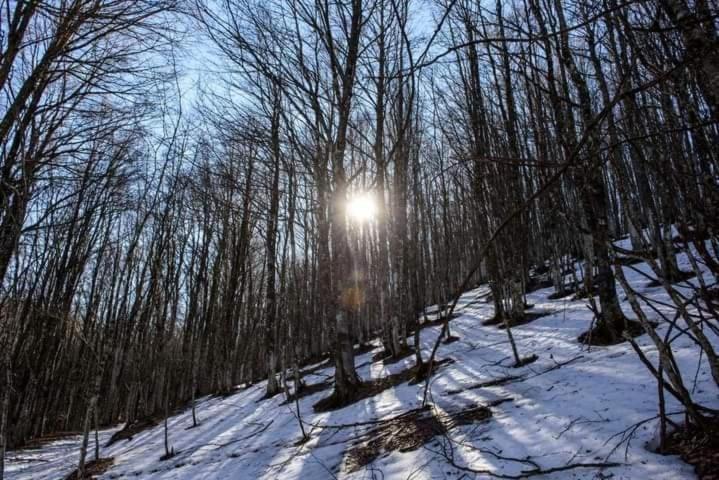 Casa Vacanza Zia Ersilia Rotondi Екстериор снимка